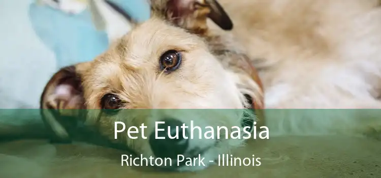 Pet Euthanasia Richton Park - Illinois