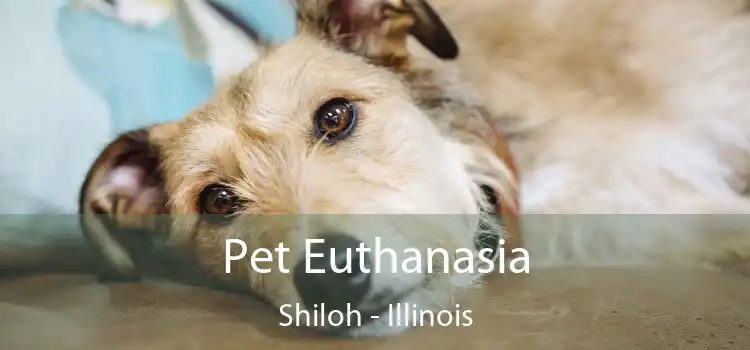 Pet Euthanasia Shiloh - Illinois