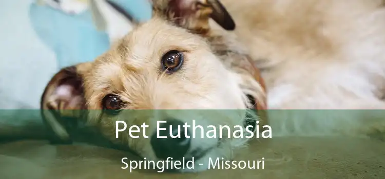 Pet Euthanasia Springfield - Missouri