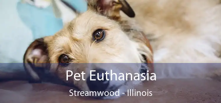 Pet Euthanasia Streamwood - Illinois