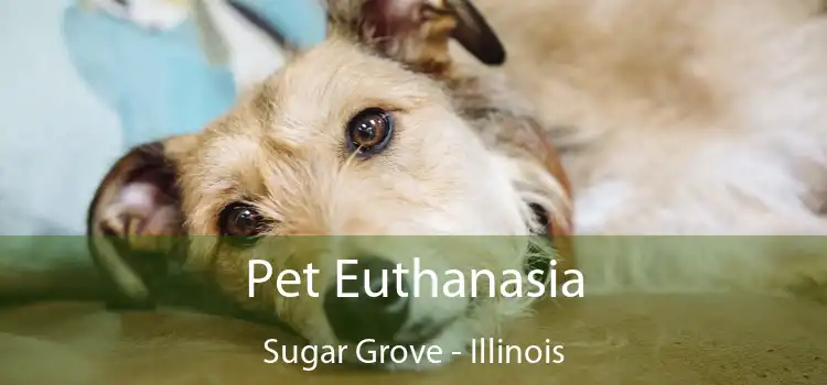 Pet Euthanasia Sugar Grove - Illinois
