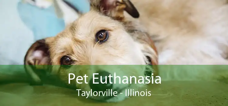 Pet Euthanasia Taylorville - Illinois