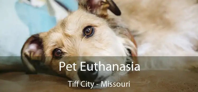 Pet Euthanasia Tiff City - Missouri