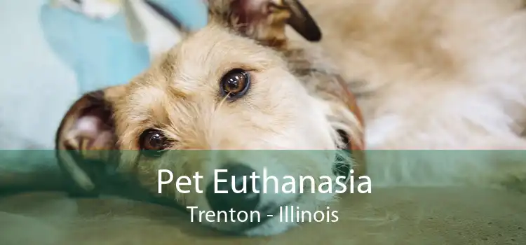 Pet Euthanasia Trenton - Illinois