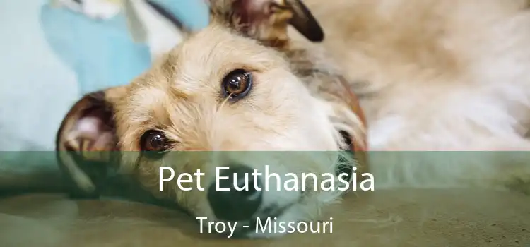 Pet Euthanasia Troy - Missouri