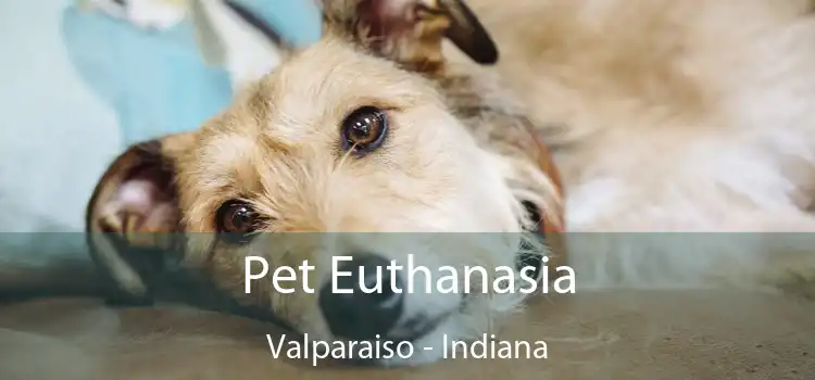 Pet Euthanasia Valparaiso - Indiana