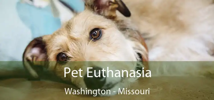 Pet Euthanasia Washington - Missouri