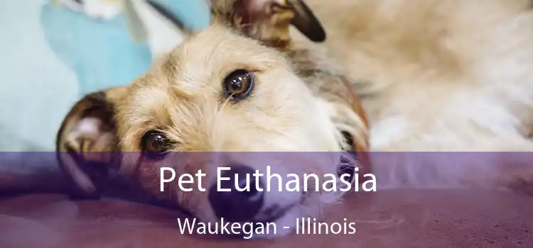 Pet Euthanasia Waukegan - Illinois