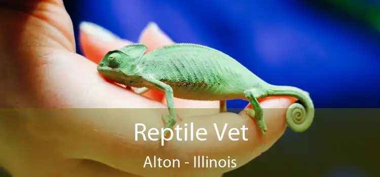 Reptile Vet Alton - Illinois