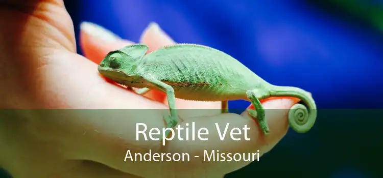 Reptile Vet Anderson - Missouri