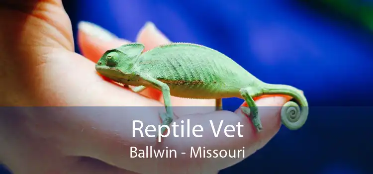 Reptile Vet Ballwin - Missouri