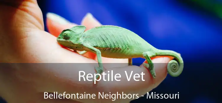 Reptile Vet Bellefontaine Neighbors - Missouri