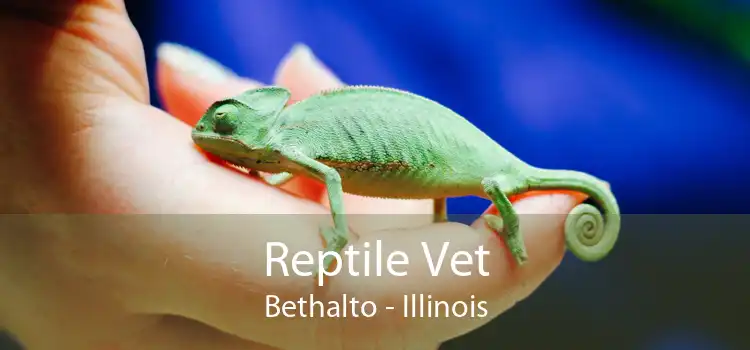 Reptile Vet Bethalto - Illinois