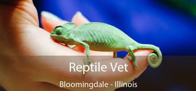 Reptile Vet Bloomingdale - Illinois