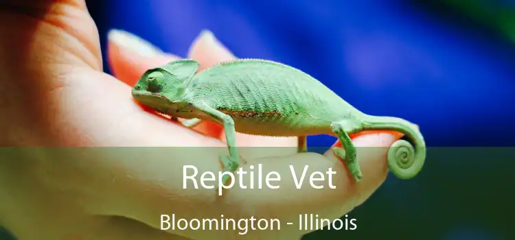 Reptile Vet Bloomington - Illinois