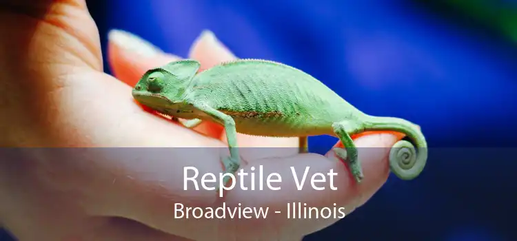 Reptile Vet Broadview - Illinois