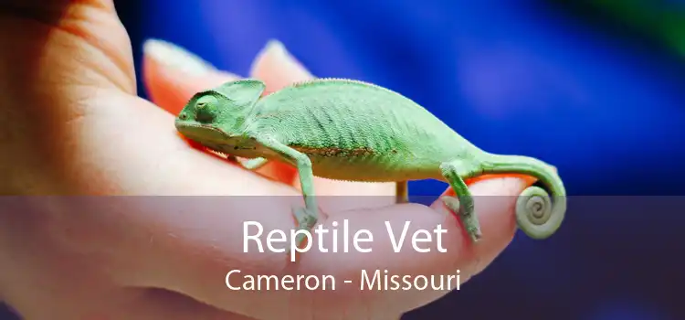 Reptile Vet Cameron - Missouri