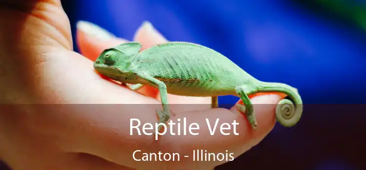 Reptile Vet Canton - Illinois