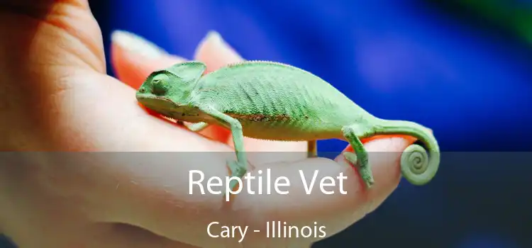 Reptile Vet Cary - Illinois