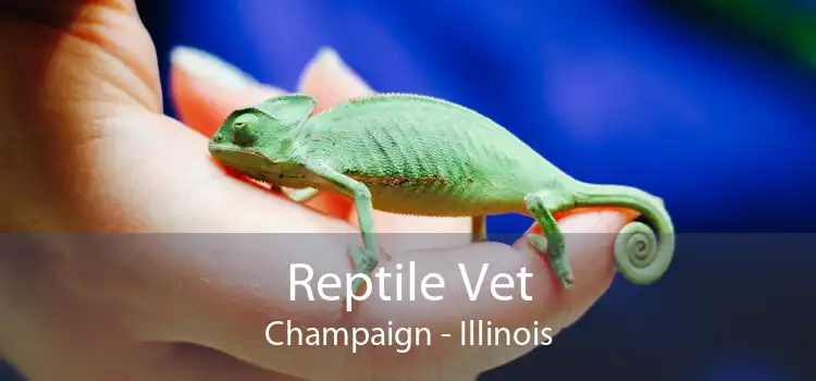 Reptile Vet Champaign - Illinois