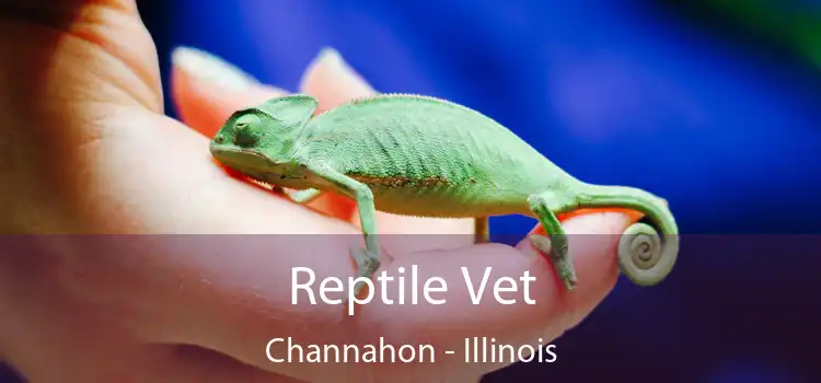 Reptile Vet Channahon - Illinois