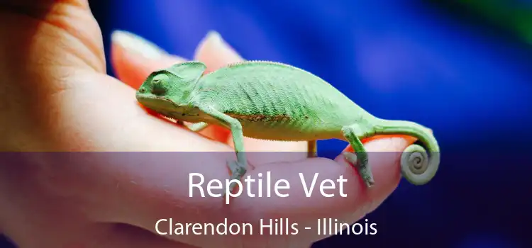 Reptile Vet Clarendon Hills - Illinois