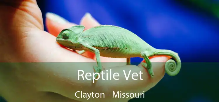 Reptile Vet Clayton - Missouri