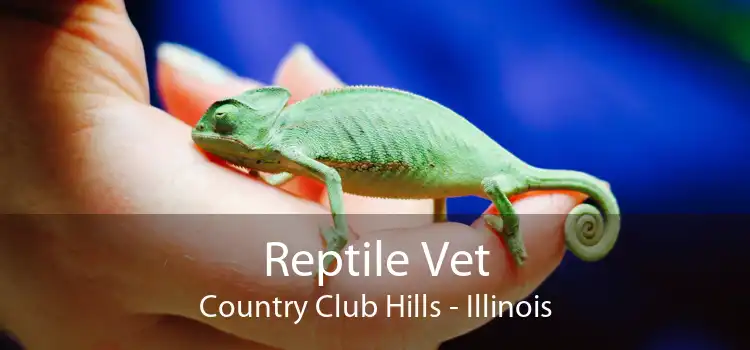 Reptile Vet Country Club Hills - Illinois