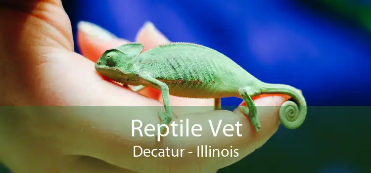 Reptile Vet Decatur - Illinois