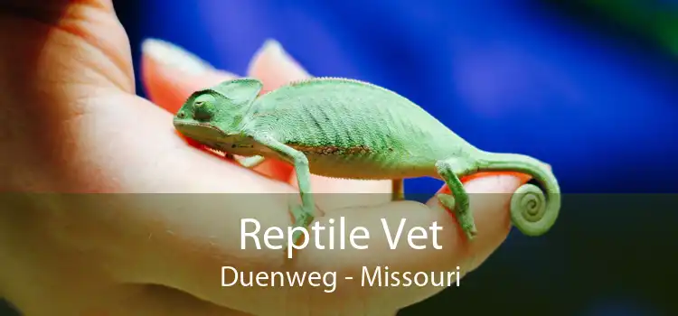 Reptile Vet Duenweg - Missouri