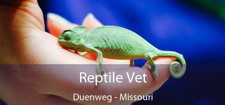 Reptile Vet Duenweg - Missouri