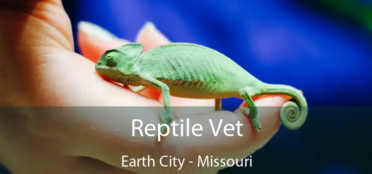 Reptile Vet Earth City - Missouri