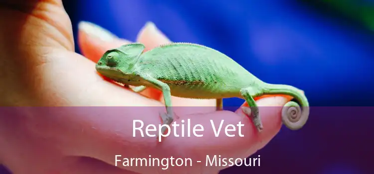 Reptile Vet Farmington - Missouri