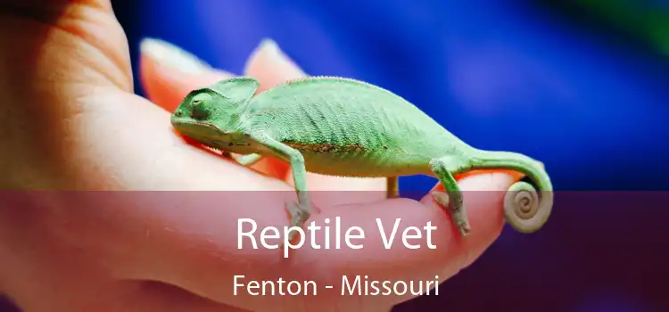 Reptile Vet Fenton - Missouri