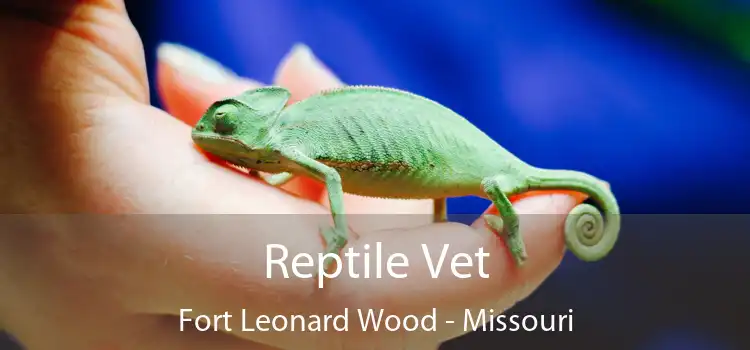 Reptile Vet Fort Leonard Wood - Missouri