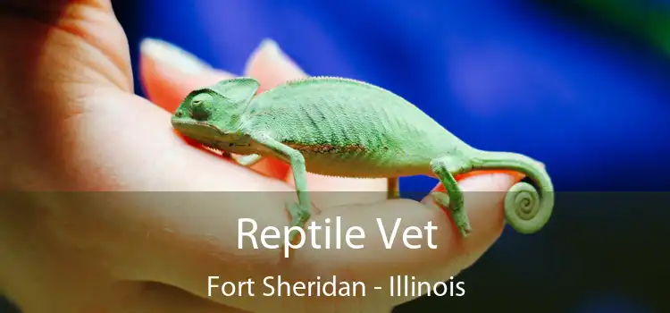 Reptile Vet Fort Sheridan - Illinois