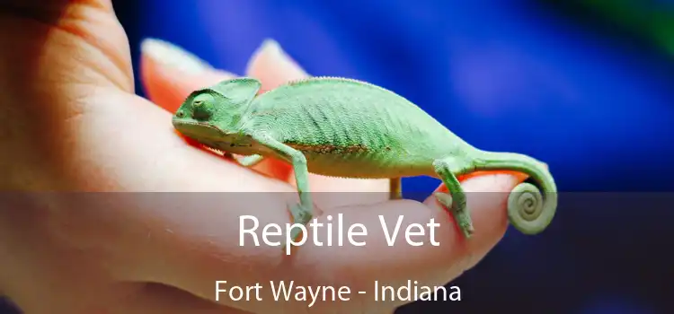 Reptile Vet Fort Wayne - Indiana