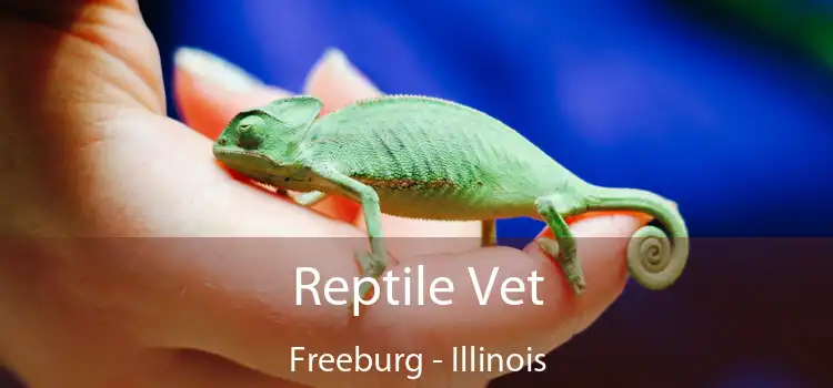 Reptile Vet Freeburg - Illinois