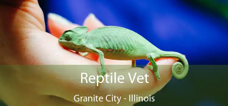 Reptile Vet Granite City - Illinois