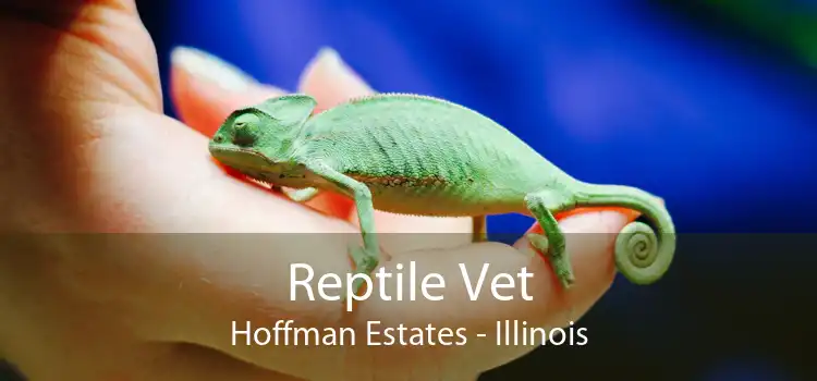 Reptile Vet Hoffman Estates - Illinois