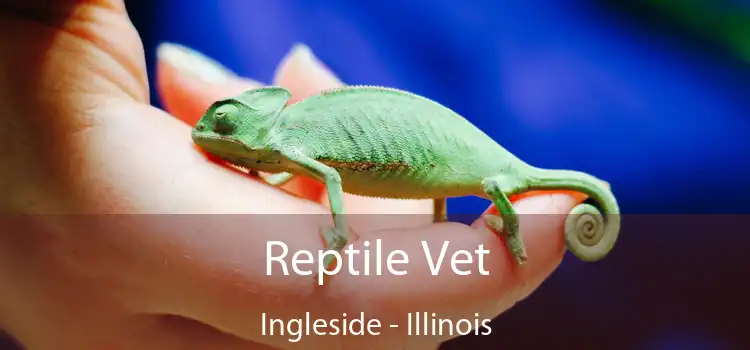 Reptile Vet Ingleside - Illinois