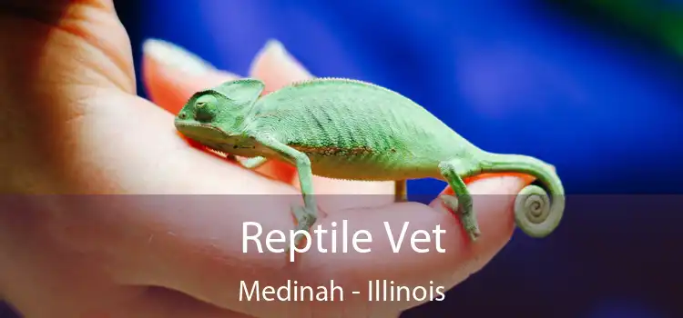 Reptile Vet Medinah - Illinois