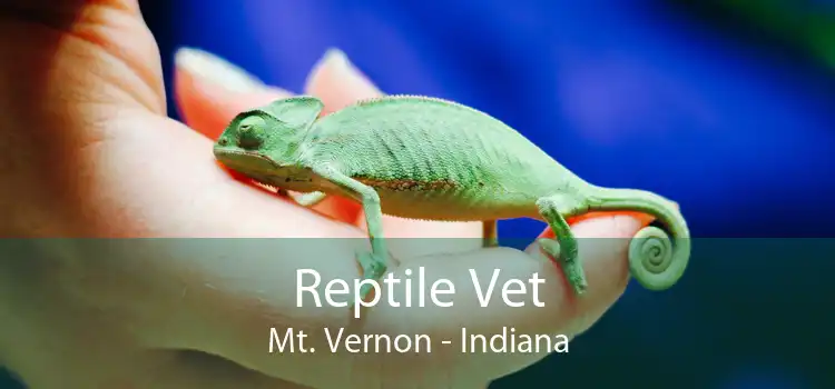Reptile Vet Mt. Vernon - Indiana