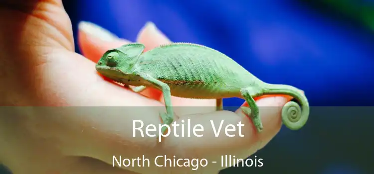 Reptile Vet North Chicago - Illinois