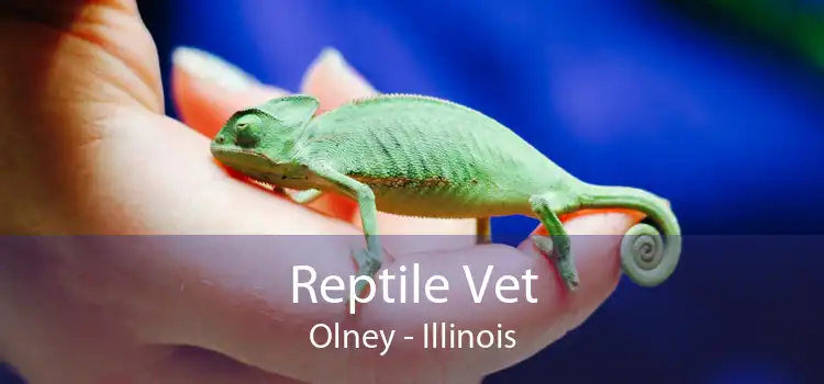 Reptile Vet Olney - Illinois