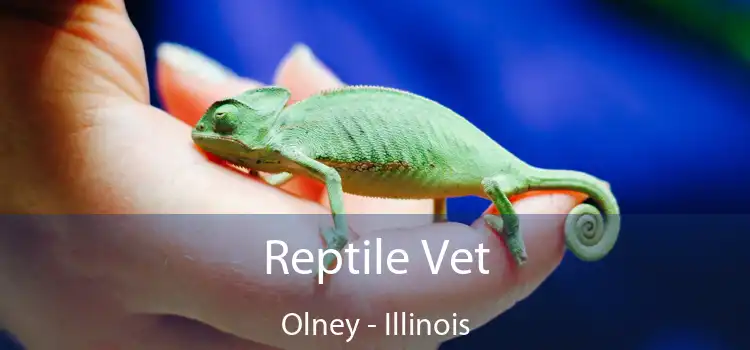 Reptile Vet Olney - Illinois