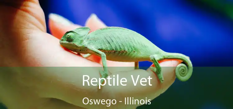 Reptile Vet Oswego - Illinois