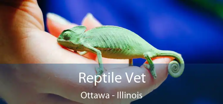 Reptile Vet Ottawa - Illinois