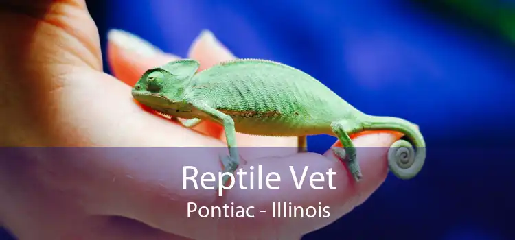 Reptile Vet Pontiac - Illinois