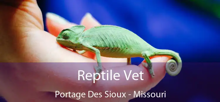 Reptile Vet Portage Des Sioux - Missouri